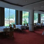 Hotel Thermal Elisabethpark