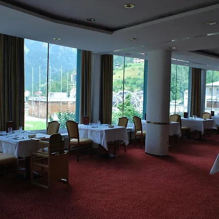 Hotel Thermal Elisabethpark