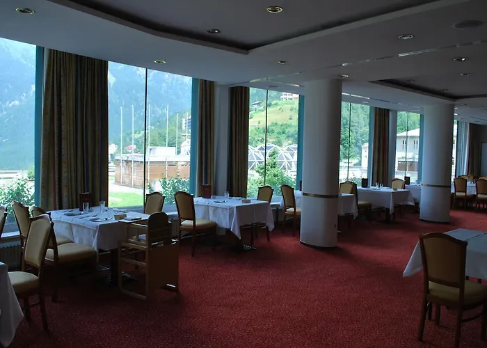 Hotel Thermal Elisabethpark